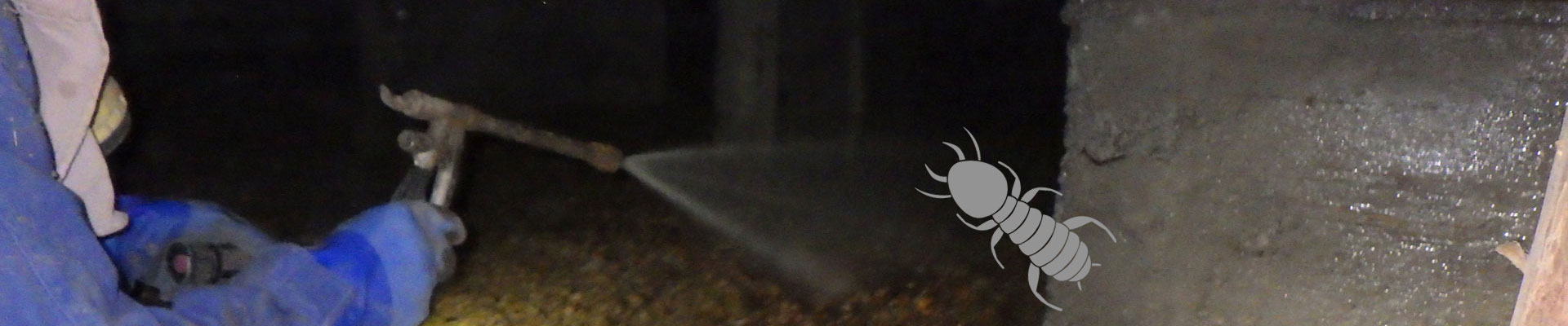 シロアリ予防の事例