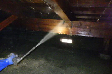 シロアリ駆除事例