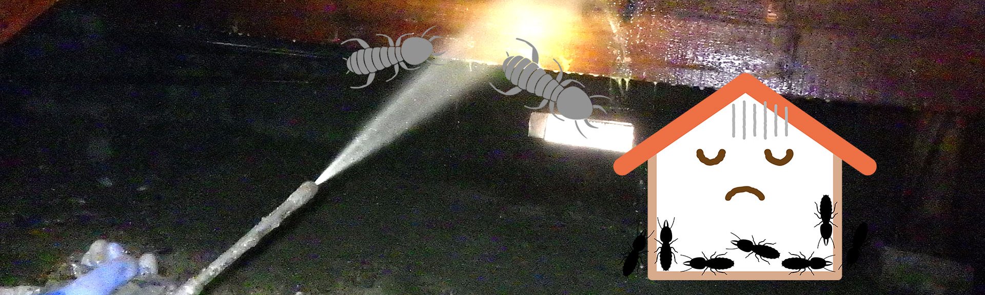白蟻・害虫駆除