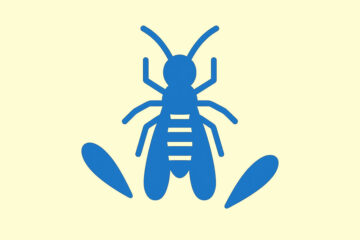 シロアリ駆除サービス