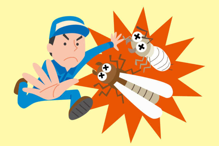 香川県のシロアリ駆除｜株式会社大建白蟻の画像