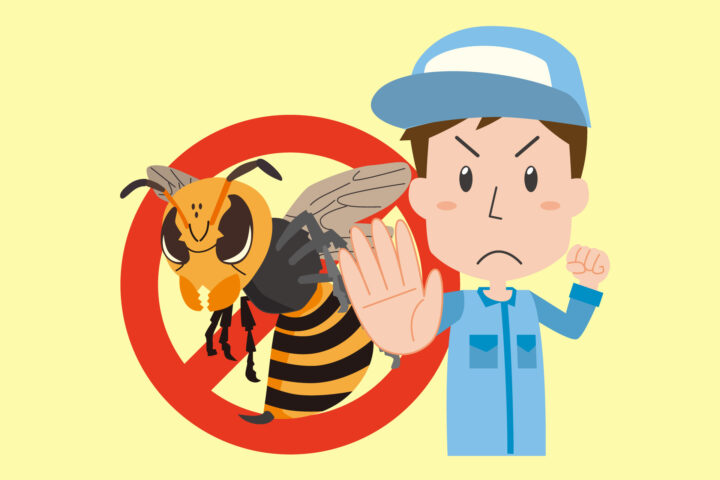 香川県観音寺市で害虫駆除なら安心対応の大建白蟻の画像