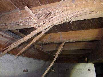 シロアリ被害の柱