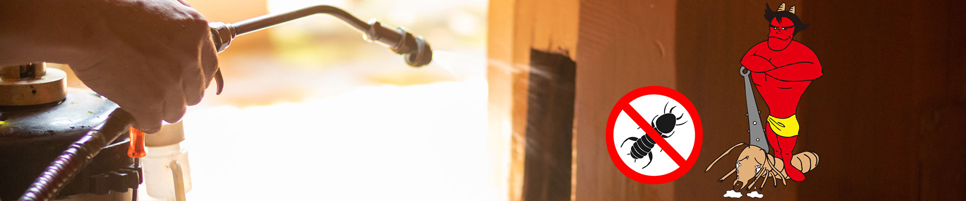 シロアリの羽アリが出る理由